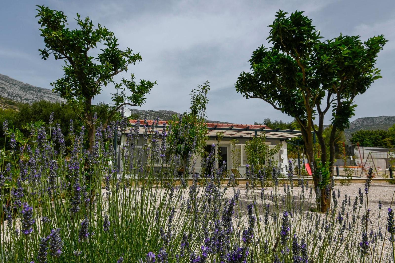 Villa Marina Orebic Exterior photo